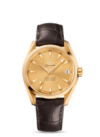 Omega Seamaster Aqua Terra 150m Master Co-Axial 38.5 Red Gold / Grey / Bracelet (231.53.39.21.08.001)