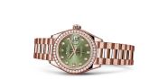 Rolex - 279135rbr-0014  Lady-Datejust 28 Everose Diamond / President / Olive Diamond