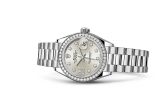 Rolex - 279136rbr-0003  Lady-Datejust 28 Platinum Diamond / President / Silver Diamonds