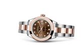 Rolex - 279161-0004  Lady-Datejust 28 Rolesor Rose Domed / Oyster / Chocolate Diamond