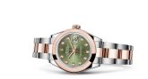 Rolex - 279161-0008  Lady-Datejust 28 Rolesor Rose Domed / Oyster / Olive Diamond