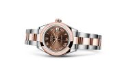 Rolex - 279161-0010  Lady-Datejust 28 Rolesor Rose Domed / Oyster / Chocolate Roman