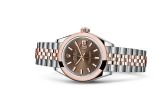 Rolex - 279161-0017  Lady-Datejust 28 Rolesor Rose Domed / Jubilee / Chocolate