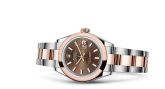 Rolex - 279161-0018  Lady-Datejust 28 Rolesor Rose Domed / Oyster / Chocolate