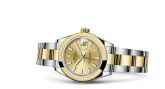 Rolex - 279163-0002  Lady-Datejust 28 Rolesor Yellow Domed / Oyster / Champagne