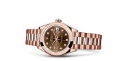 Rolex - 279165-0002  Lady-Datejust 28 Everose Domed  / President / Chocolate Diamond