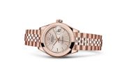 Rolex - 279165-0003  Lady-Datejust 28 Everose Domed / Jubilee / Sundust