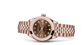 Rolex - 279165-0004  Lady-Datejust 28 Everose Domed  / Jubilee / Chocolate Diamond