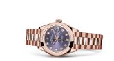 Rolex - 279165-0019  Lady-Datejust 28 Everose Domed / President / Aubergine