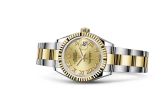 Rolex - 279173-0010  Lady-Datejust 28 Rolesor Yellow Fluted / Oyster / Champagne Roman