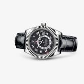 Rolex - 326139-0003  Sky-Dweller White Gold / Black / Alligator