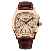 Patek Philippe Perpetual Calendar 5496 Platinum / Silver (5950R-010)