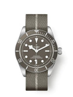 Tudor Black Bay Fifty-Eight 18k (79010SG-0002)