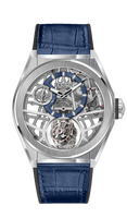 Zenith Defy Zero G Titanium / Skull Edition (95.9000.8812/78.R584)