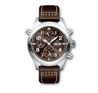 IWC Pilot's Watch Chronograph Edition Antoine De Saint Exupery Edition The Last Flight Platinum (IW3718-08)