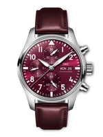 IWC Pilot's Watch Mark XX Stainless Steel / Green (IW3881-07)