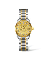 Longines Master Collection Date 29 Two Tone (L2.257.5.38.7)