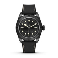 Tudor Black Bay Master Chronometer Stainless Steel - Burgundy / Black / Oyster (M79210CNU-0001)