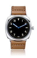 Panerai Radiomir 1936 (PAM00249)