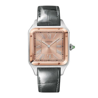 Cartier - W2SA0027  Santos Dumont 31.4 China